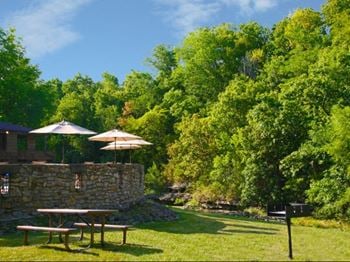 Bbq & picnic area